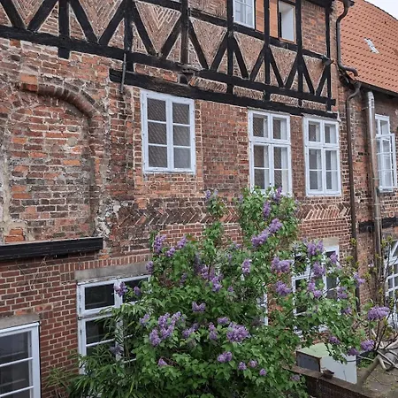 Daire Backsteinflair - Luenemitte Lüneburg